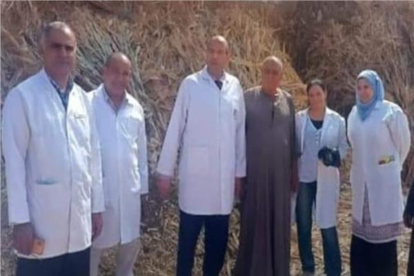 صورة موضوعية