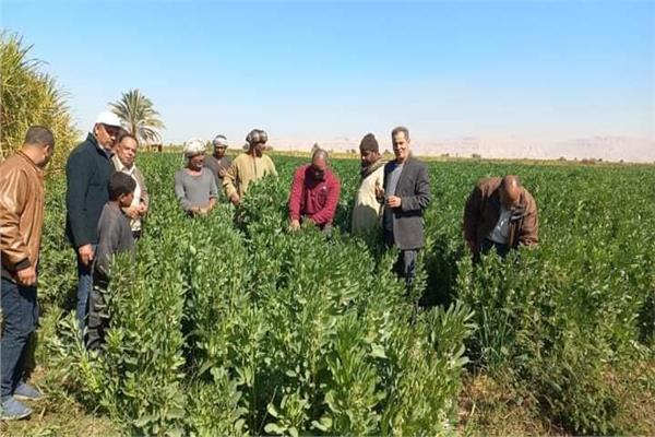 صورة موضوعية