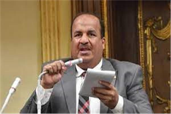 الدكتور محمد عبد الحميد وكيل لجنة الشئون الاقتصادية