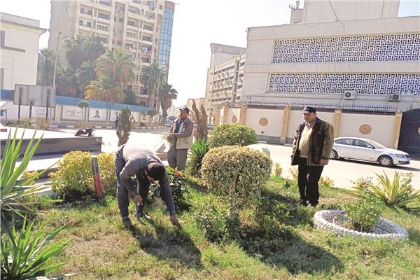 زراعة 100 مليون شجرة بمحافظات الدقهلية