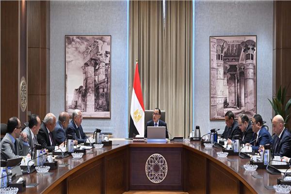مدبولي يوجه بضرورة وضع خطة لإنتاج 100 طن من الحرير سنوياً 