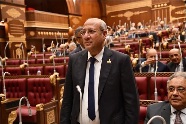 النائب عمرو عكاشة 