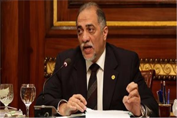 النائب الدكتورعبد الهادي القصبي