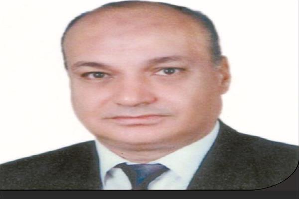  نادى نجيب