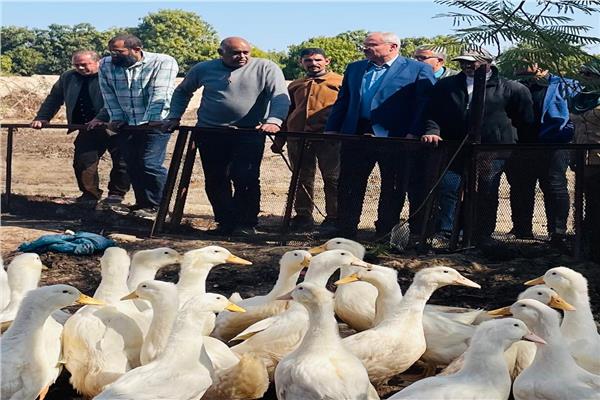 مزرعة كلية الزراعة بجامعة القناة