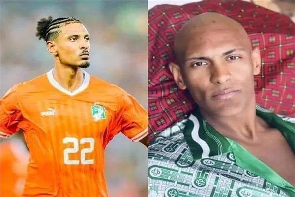 قصة كفاح الفيل الإيفواري