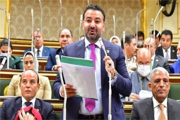 النائب محمد سلطان عضو لجنة حقوق الإنسان بمجلس النواب