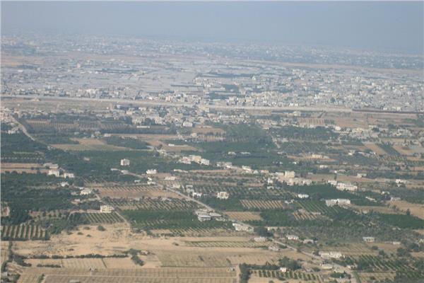 ارشيفية