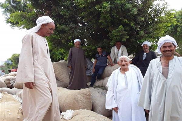 ارشيفية