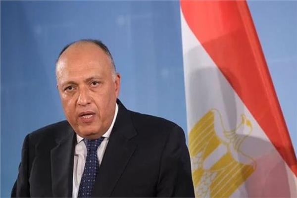 سامح شكري وزير الخارجية