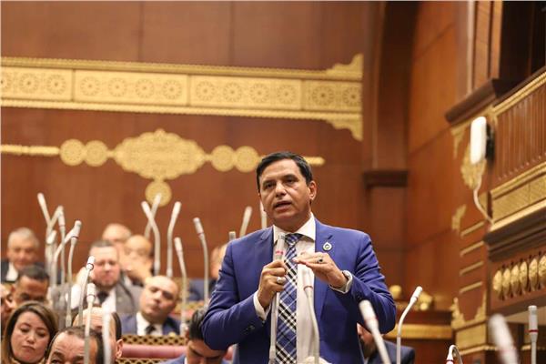 النائب اللواء طارق نصير امين عام حزب حماة الوطن