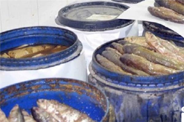  فسيخ غير صالح للاستهلاك الآدمي