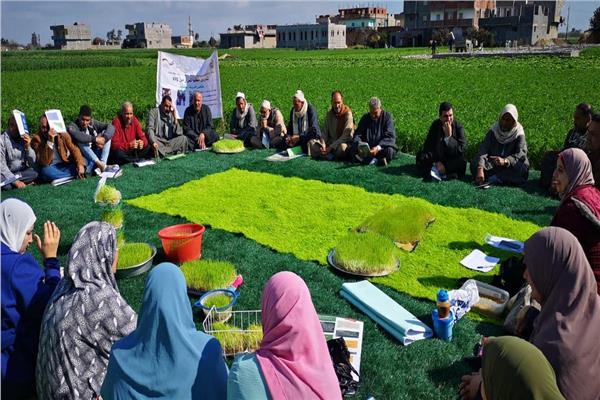  محطة رى حديث بإستخدام الطاقة الشمسية بالبحيرة
