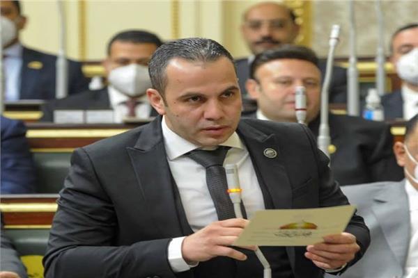 النائب محمد رضا البنا عضو مجلس النواب