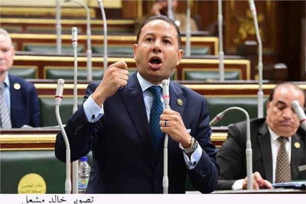  النائب حسن عمار