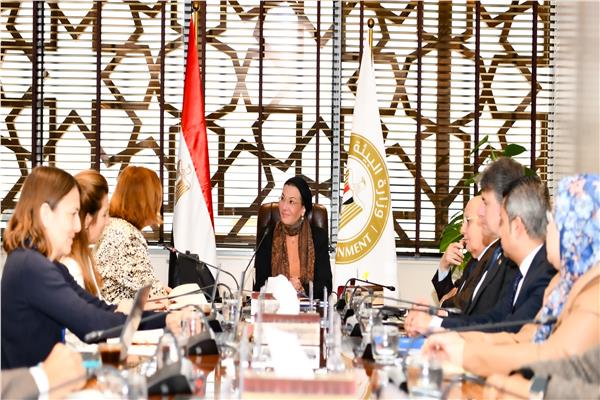 الدكتورة ياسمين فؤاد