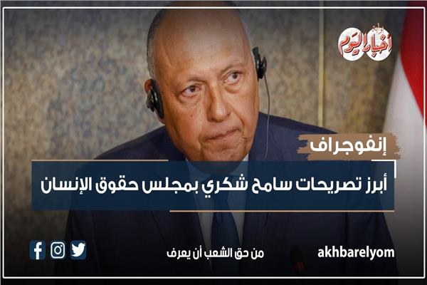 سامح شكري وزير الخارجية
