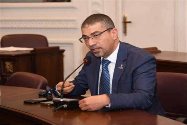 النائب محمد البدري عضو لجنة الصحة بمجلس الشيوخ