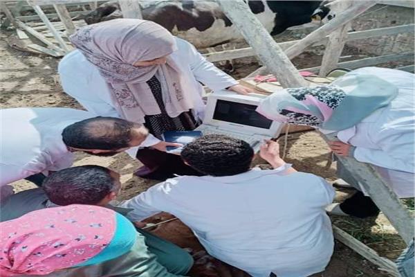 صورة موضوعية