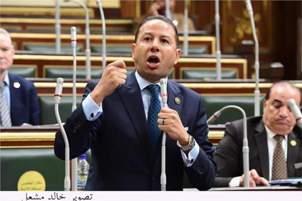  النائب حسن عمار