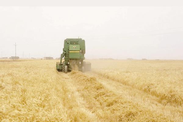 المصدر: البنك الدولى والفاو