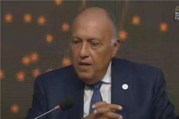 سامح شكري