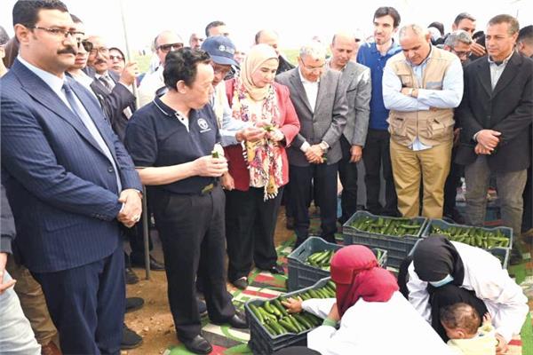 وزيرة التضامن الاجتماعى ومحافظ المنيا ومدير عام «الفاو» أثناء الجولة التفقدية