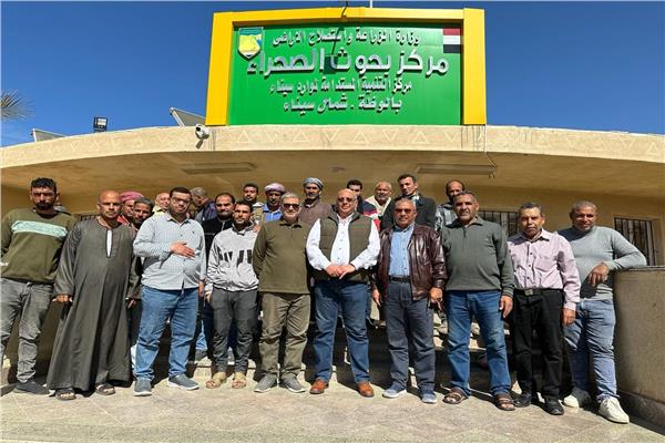صورة موضوعية