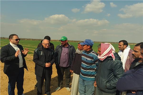 تسجيل وحصر للعمالة غير المنتظمة بمواقع عمل بالإسماعيلية