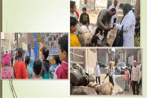 قوافل بيطرية
