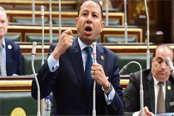النائب حسن عمار عضو مجلس النواب
