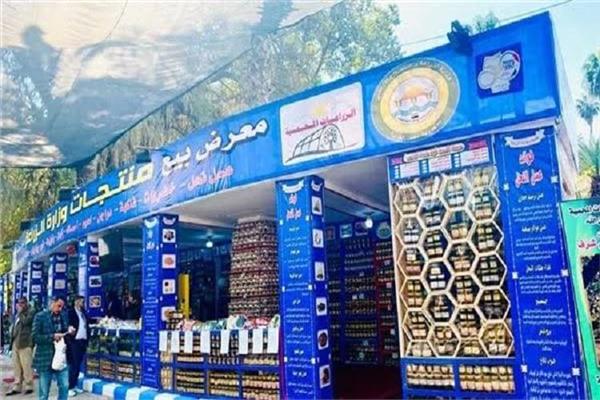صورة موضوعية