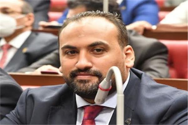 النائب محمد الرشيدي عضو مجلس الشيوخ