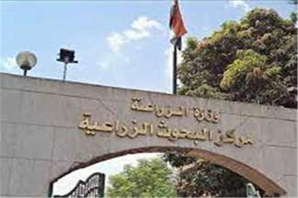  مركز البحوث الزراعية