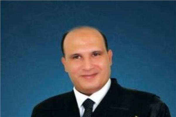 المحامي إبراهيم سعودي، عضو اللجنة القانونية المعاونة لمجلس نقابة المحامين