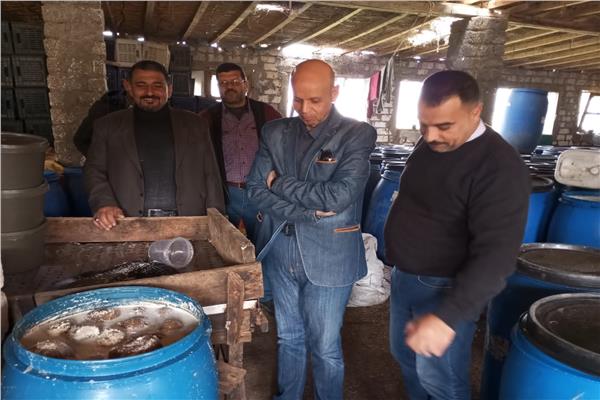 صورة موضوعية