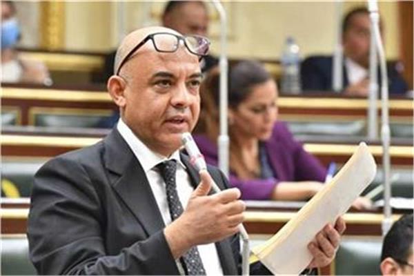 النائب عمرو هندى عضو مجلس النواب 