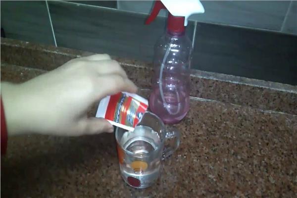صورة موضوعية