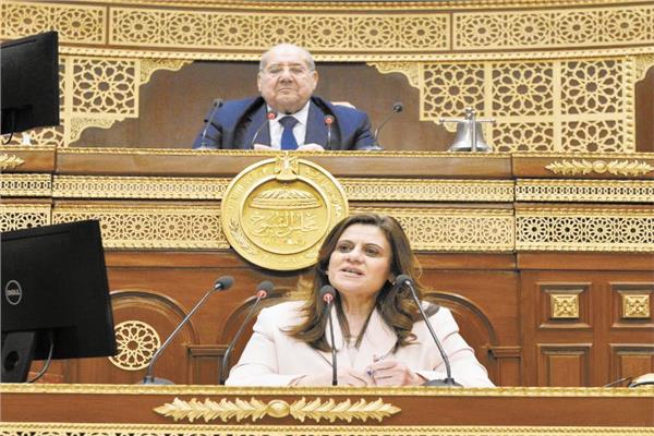 السفيرة سها الجندى خلال كلمتها بمجلس الشيوخ