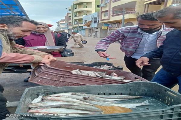 حملات رقابية