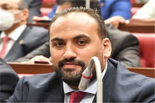 النائب محمد الرشيدي عضو مجلس الشيوخ