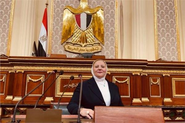 النائبة منال نصر عضو مجلس النواب