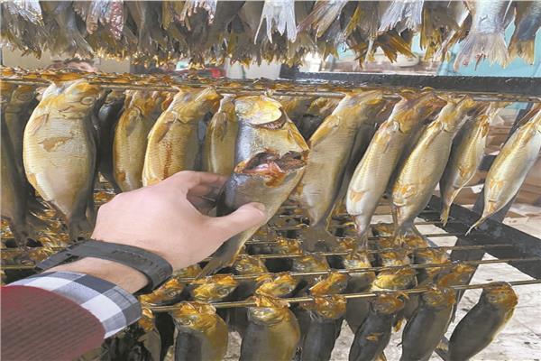 ضبط ٥ أطنان «رنجة» غير صالحة