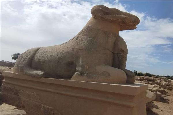 بريك والصغير