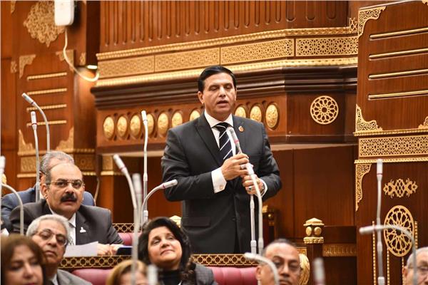 النائب اللواء طارق نصير أمين  عام حزب حماة الوطن 
