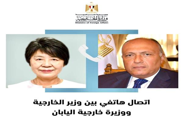 الوزير سامح شكري ونظيرته اليابانيه