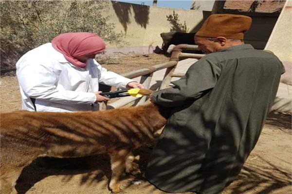 حملات التحصين