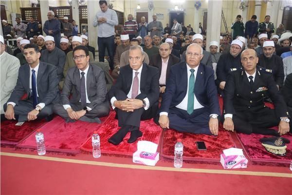 عبد الحميد الهجان محافظ القليوبية