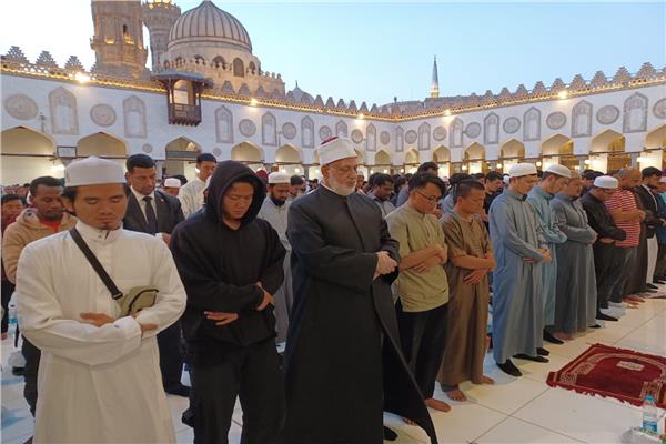 صورة موضوعية