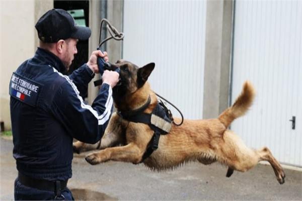 صورة تعبيرية